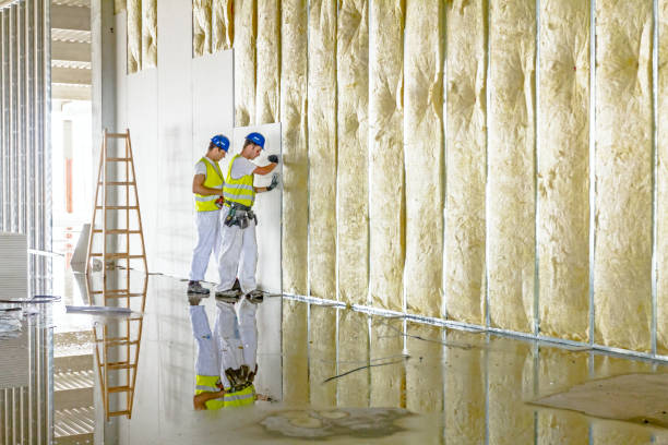 Types of Insulation We Offer in Silver Springs Shores, FL